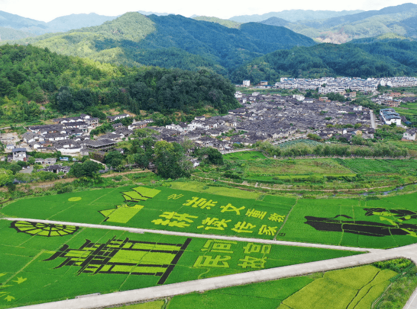 文明鄉風丨連城培田:村規民約