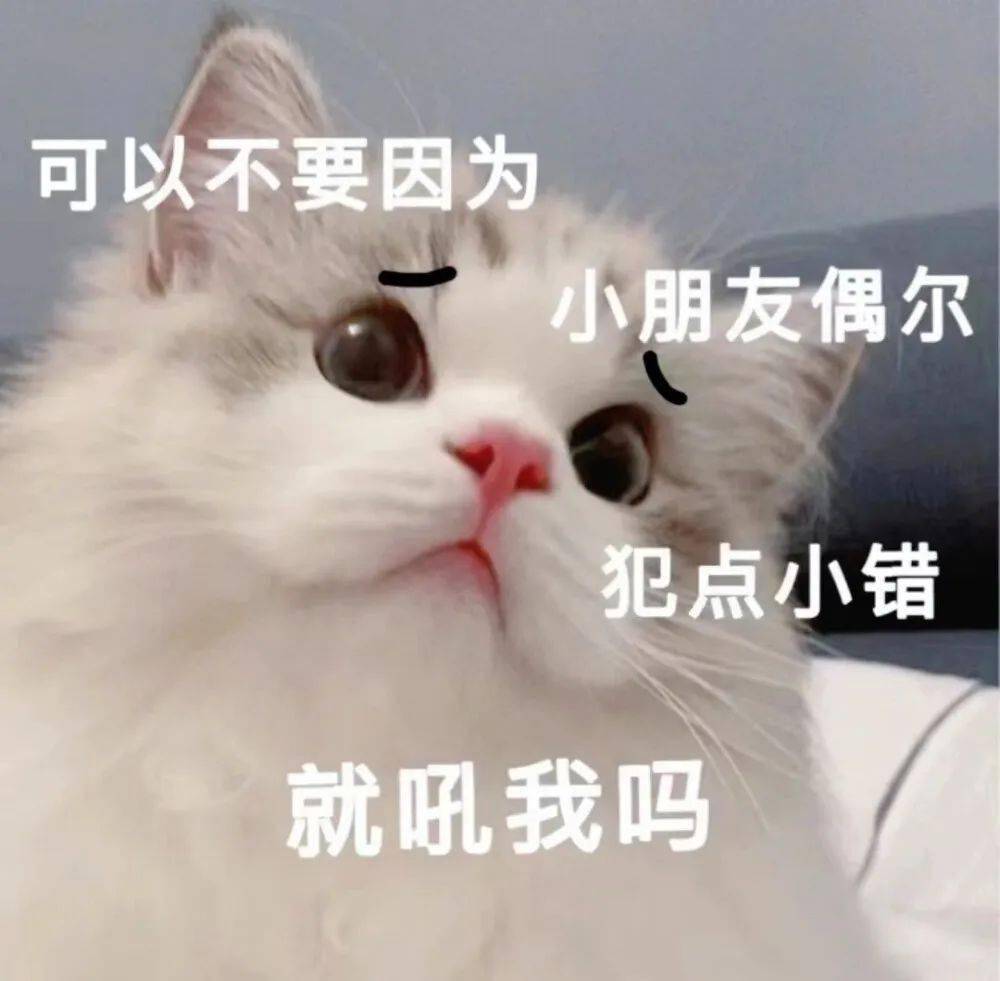 超撩人的猫咪情侣表情包 勾引到我了