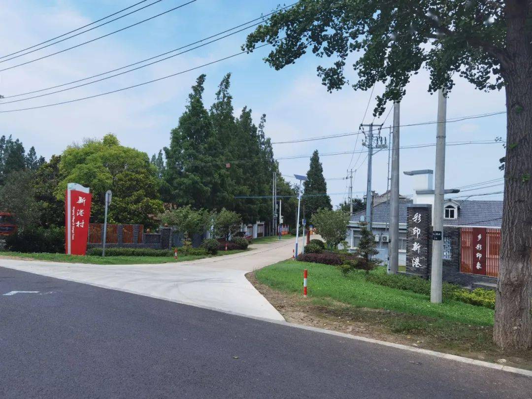 漫长的季节里,反复爱上港西镇_崇明_老街_沈家