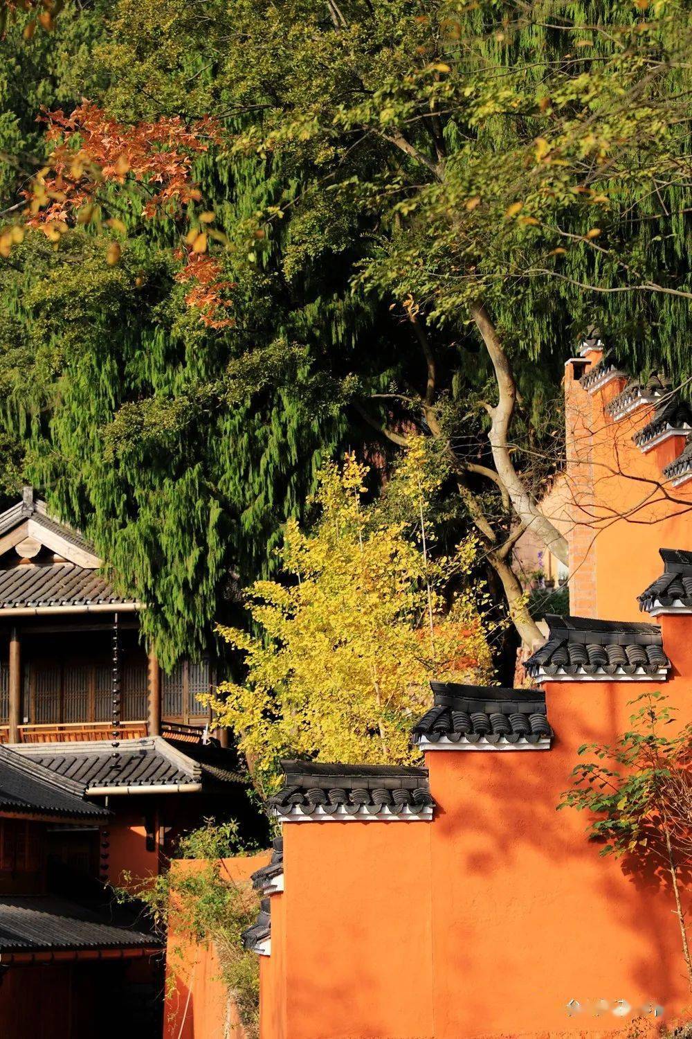 天台赤城山紫云洞设计篇: "鸡子壳"里做道场!_建筑物_景区_时节